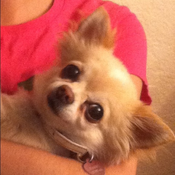 Meet your Posher, Lisa - Picture 4 of 7